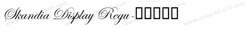 Skandia Display Regu字体转换